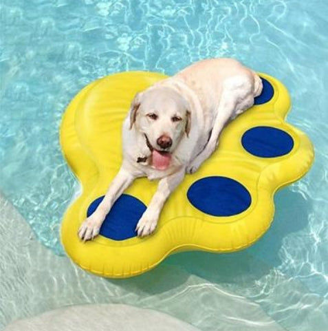 Paws Aboard Doggy Lazy Raft - LARGE (50” x 39" )