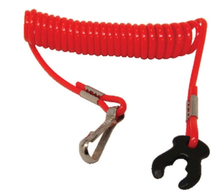 420489-1 - Replacement Lanyard Only